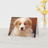 Carte Bordure or Collie Pup~Carte pour notes (Fleur jaune)