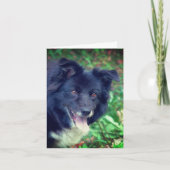 Carte Bordure souriante Collie mignon chien note personn (Devant)