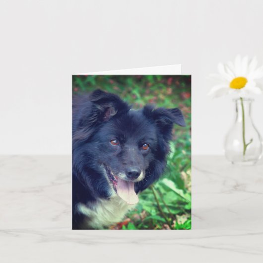 Carte Bordure souriante Collie mignon chien note personn (Petite plante)