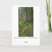 Carte "Boreal Life Trail" Scène forestière Adirondack (Dos)