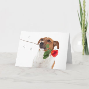 Carte Boris - Jack Russell Terrier - Rose de chien