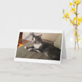 Carte Boris le mignon numéro Kitty Salutation (Fleur jaune)