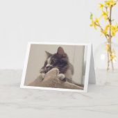 Carte Boris le mignon numéro Kitty Salutation (Fleur jaune)