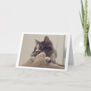 Carte Boris le mignon numéro Kitty Salutation