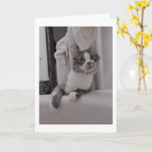 Carte Boris le mignon numéro Kitty Salutation (Fleur jaune)