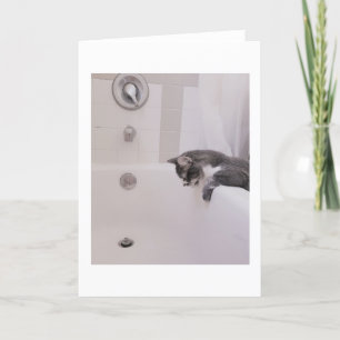 Carte Boris le mignon numéro Kitty Salutation