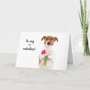Carte Boris - Terrier Jack Russell - Soyez mon Saint Val