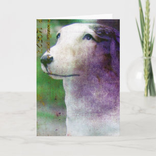 Carte Borzoi