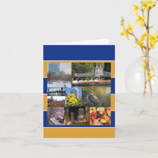 Carte Boston, Massachusetts (Fleur jaune)