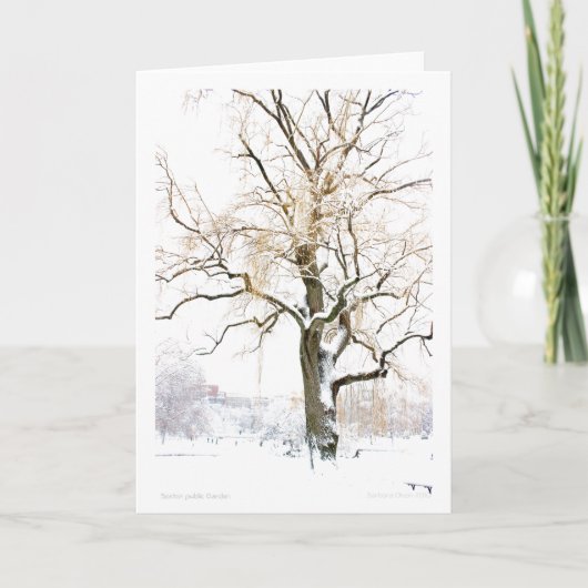 Carte Boston Public Garden : ajoutez votre salutation (Devant)