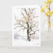 Carte Boston Public Garden : ajoutez votre salutation (Fleur jaune)