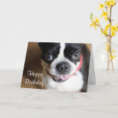 Carte Boston Terrier (Fleur jaune)