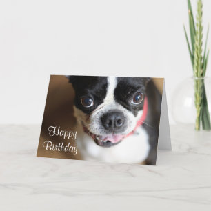 Carte Boston Terrier