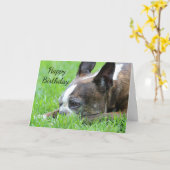 Carte Boston Terrier (Fleur jaune)