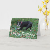 Carte Boston Terrier (Fleur jaune)