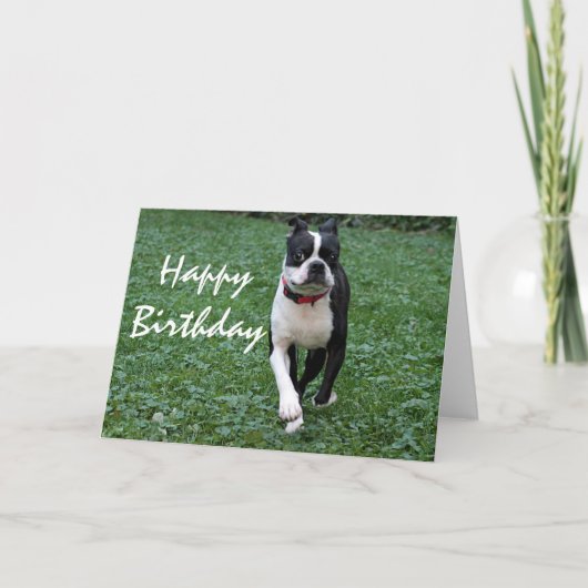 Carte Boston terrier (Devant)