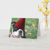 Carte Boston terrier avec un casquette d'anniversaire (Fleur jaune)