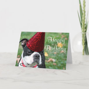 Carte Boston terrier avec un casquette d'anniversaire