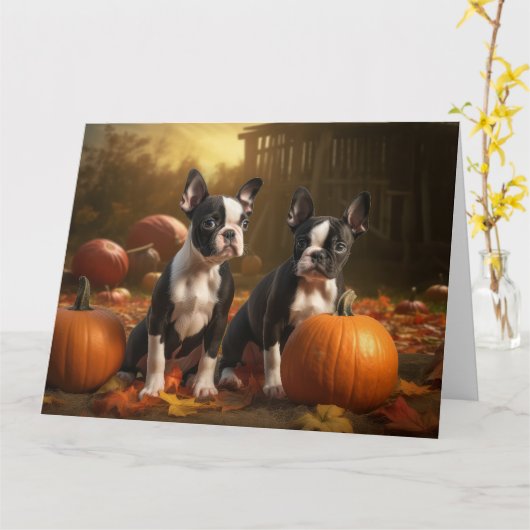 Carte Boston Terrier chiot automne délice citrouille (Fleur jaune)