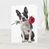 Carte Boston Terrier Valentine – Dapper Love (Devant)