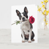 Carte Boston Terrier Valentine – Dapper Love (Fleur jaune)