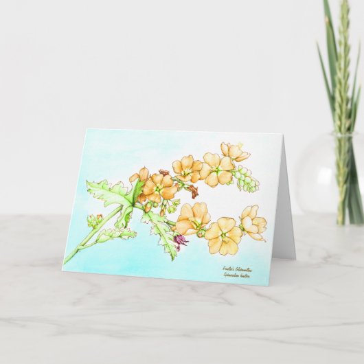Carte Botanical wildflower watercolor, globemallow (Devant)