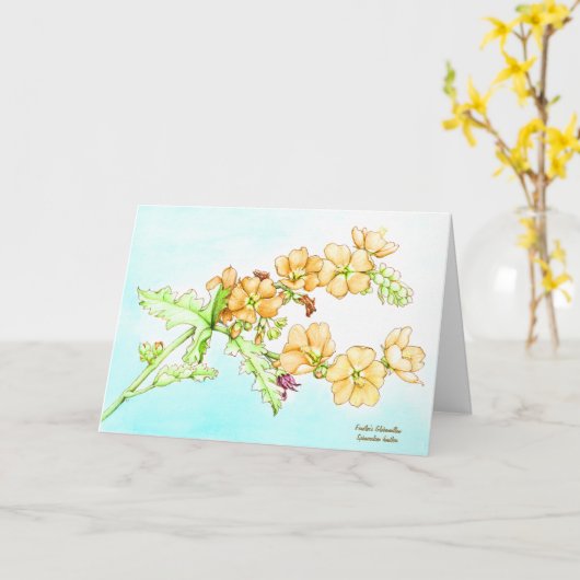 Carte Botanical wildflower watercolor, globemallow (Fleur jaune)
