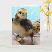 Carte Bottes et amis, poussins (Fleur jaune)