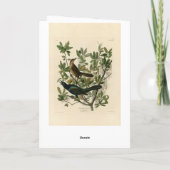 Carte Bouche à queue de bateau - Audubon's Birds of Amer (Dos)