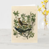 Carte Bouche à queue de bateau - Audubon's Birds of Amer (Fleur jaune)