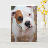 Carte Boucle (Fleur jaune)