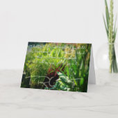 Carte Bouclier (Devant)