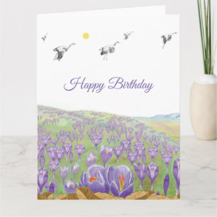 Carte Boucliers blancs survolant Crocus Hill