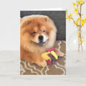 Carte Bouffe de heARTdog de GRIFFON (Fleur jaune)