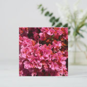 Carte Bougainvillea Arbuste de vinification rose tropica (Debout devant)