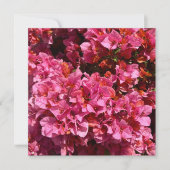 Carte Bougainvillea Arbuste de vinification rose tropica (Devant)