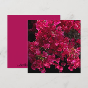 Carte Bougainvillea Arbuste de vinification Tropical Rou