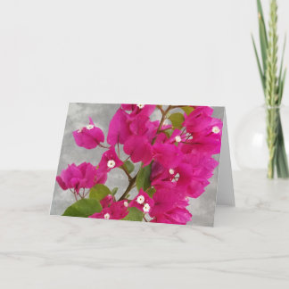 Carte Bougainvillea Note Cards