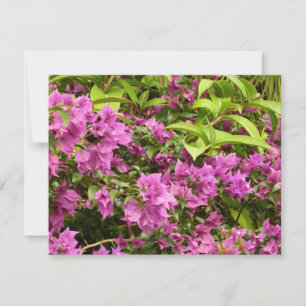 Carte Bougainvillées tropicales violettes