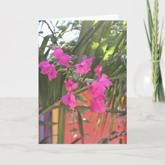 Carte Bougainvillier brillant (Devant)