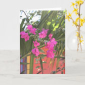 Carte Bougainvillier brillant (Fleur jaune)