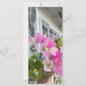 Carte bougainvilliers roses ou fleur de papier, tropical (Dos)