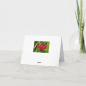 Carte Bougies brésiliennes inhabituelles Salutation Merc (Dos)