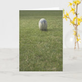 Carte Boule de rugby (Fleur jaune)