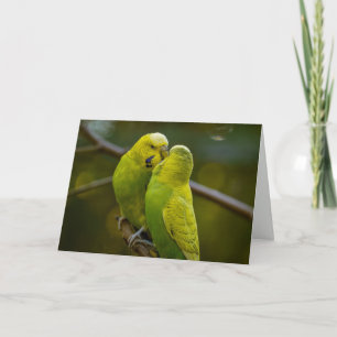 Carte Bouleau jaune vert mignon sur une branche d'arbre