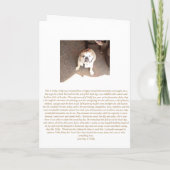 Carte Bouledogue Anglais a quelque chose à dire *carte c (Dos)