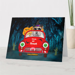 Carte Bouledogue anglais conduisant une voiture effrayan
