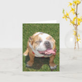Carte Bouledogue de sourire (Fleur jaune)