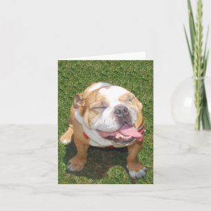 Carte Bouledogue de sourire