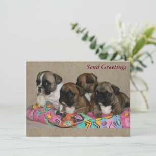 Carte Bouledogue français Anniversaire French Bulldog